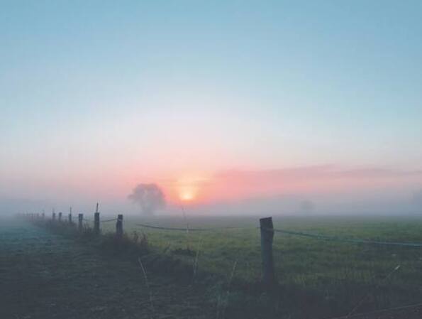 ਹੁਣ ਸਰਦੀ ਵਧਦੀ ਜਾ ਰਹੀ ਹੈ। ਸਵੇਰ ਵੇਲੇ ਧੁੰਦ ਦਿਖਾਈ ਦਿੰਦੀ ਹੈ। ਇਸ ਦੇ ਨਾਲ ਹੀ ਮੌਸਮ ਵਿਭਾਗ ਨੇ ਦਸੰਬਰ ਦੇ ਅਖੀਰ ਅਤੇ ਜਨਵਰੀ ਦੇ ਸ਼ੁਰੂ ਵਿੱਚ ਉੱਤਰੀ ਭਾਰਤ ਦੇ ਕਈ ਰਾਜਾਂ ਵਿੱਚ ਹੋਰ ਧੁੰਦ ਪੈਣ ਦੀ ਸੰਭਾਵਨਾ ਵੀ ਪ੍ਰਗਟਾਈ ਹੈ। ਪਰ ਆਓ ਜਾਣਦੇ ਹਾਂ ਕਿਸਾਨਾਂ 'ਤੇ ਇਸ ਦਾ ਕੀ ਅਸਰ ਪਵੇਗਾ।