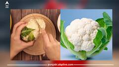 Cauliflower: ਆਓ ਜਾਣਦੇ ਹਾਂ ਕਿ ਕਿਹੜੇ ਲੋਕਾਂ ਨੂੰ ਫੁੱਲ ਗੋਭੀ ਦਾ ਜ਼ਿਆਦਾ ਸੇਵਨ ਨਹੀਂ ਕਰਨਾ ਚਾਹੀਦਾ
