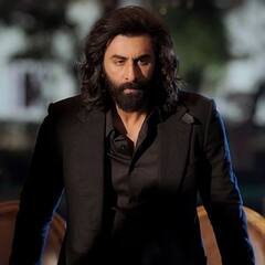 Animal: ਰਿਲੀਜ਼ ਤੋਂ 13 ਦਿਨਾਂ ਬਾਅਦ ਵੀ ਰਣਬੀਰ ਕਪੂਰ ਦਾ ਜਲਵਾ ਬਰਕਰਾਰ, 'ਐਨੀਮਲ' ਨੇ ਕਰ ਲਈ ਇੰਨੀਂ ਕਮਾਈ, ਜਾਣੋ ਕਲੈਕਸ਼ਨ