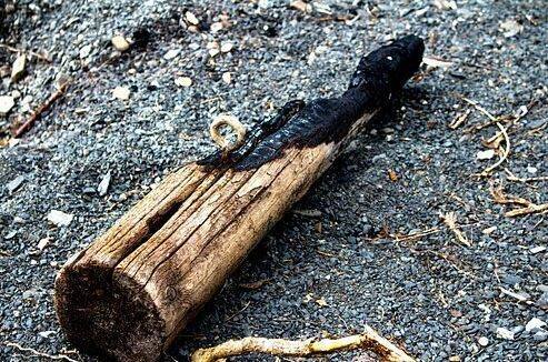 બળેલું લાકડું: જો તમને રસ્તામાં બળી ગયેલું લાકડું અથવા બળી ગયેલા લાકડાની રાખ મળે, તો તેના પર પગ ન મૂકશો અથવા તેને ક્રોસ કરીને રસ્તો ક્રોસ કરશો નહીં. કારણ કે બળેલા લાકડામાં નકારાત્મક ઉર્જા હોય છે અને તે તમારા પર નકારાત્મક અસર કરી શકે છે.