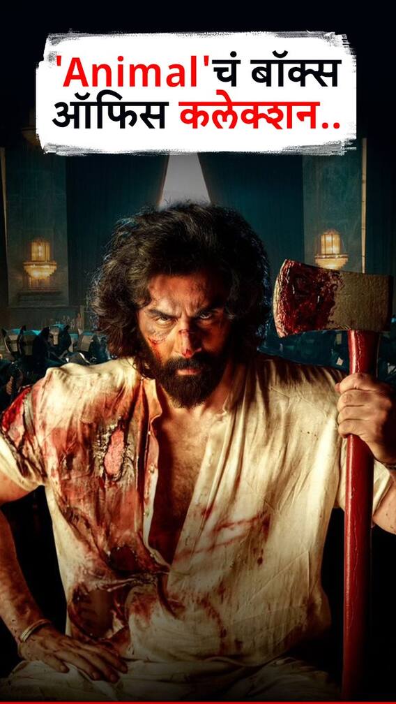 Animal'चं बॉक्स ऑफिस कलेक्शन..