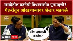Ashish Shelar : विधान भवनाच्या गॅलरीतून कोण दमबाजी करतंय? आशिष शेलार भडकले