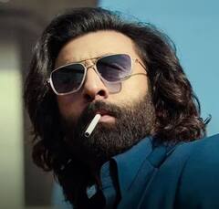 Animal Box Office Collection Day 13 Worldwide: बॉक्स ऑफिस पर नहीं थम रही है 'एनिमल' की कमाई की रफ्तार, 13 दिन में 800 करोड़ के करीब पहुंची रणबीर कपूर की फिल्म