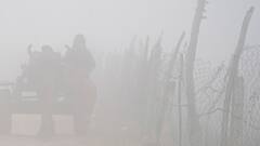 Weather Update: কুয়াশাকে সঙ্গে নিয়েই ভোর, কেমন আবহাওয়া থাকবে আজ ?