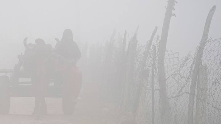 কলকাতাতে আগামীকাল ১৪ ডিগ্রির আশেপাশে থাকবে তাপমাত্রা।