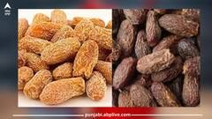 Chhuara: ਸਰਦੀਆਂ ਦੇ ਵਿੱਚ ਛੁਹਾਰੇ ਖਾਣ ਦੇ ਹੈਰਾਨੀਜਨਕ ਫਾਇਦੇ, ਕੈਂਸਰ ਅਤੇ ਭਾਰ ਘਟਾਉਣ ਵਰਗੀਆਂ ਸਮੱਸਿਆਵਾਂ ਨਾਲ ਲੜਨ 'ਚ ਮਦਦਗਾਰ