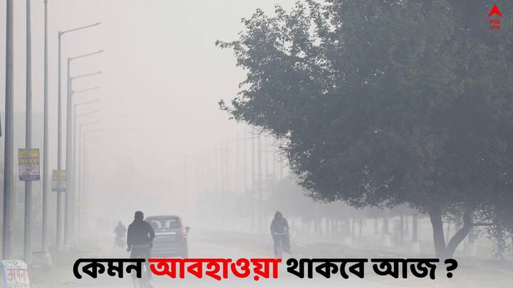 West Bengal weather Update:  তাপমাত্রা আরও একটু নামতে পারে বলে সম্ভাবনা রয়েছে। কী বলছে হাওয়া অফিস ?