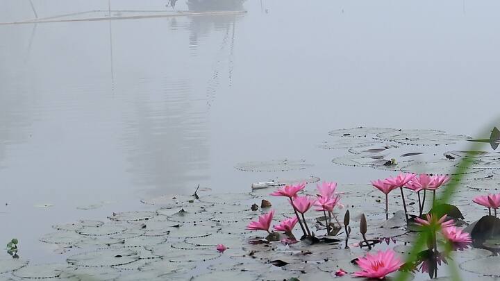 গত কয়েকদিনে ইতিমধ্যেই একঝটকায় কলকাতা ও পার্শ্ববর্তী জেলায় জেলায় তাপমাত্রা নেমে গিয়েছে।