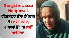 ਗੈਂਗਸਟਰ ਜੱਸਾ ਹੈਪੋਵਾਲ ਦੀ ਮਾਂ ਦਾ ਦਰਦ, 4 ਸਾਲਾਂ ਤੋਂ ਘਰ ਨਹੀਂ ਆਇਆ, ਅਜੇ ਵੀ ਚੁਕਾ ਰਹੇ ਵਿਦੇਸ਼ ਭੇਜਣ ਦਾ ਕਰਜ਼ਾ