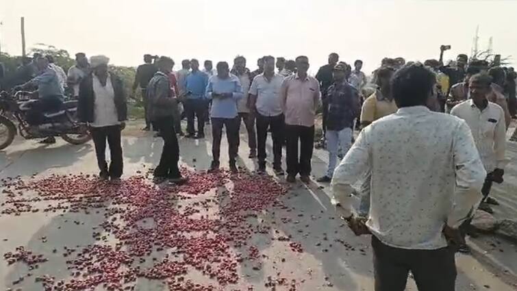 Bhavnagar: Farmers also protested against the falling price of onion in Bhavnagar Bhavnagar:  ડુંગળીના સતત ઘટના ભાવ સામે મહુવામાં ખેડૂતોનો આક્રોશ, હાઇવે પર ડુંગળી ફેંકી નોંધાવ્યો વિરોધ