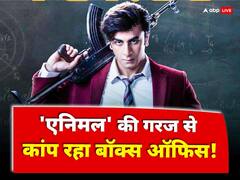 दो हफ्ते बाद भी 'एनिमल' की गरज से कांप रहा बॉक्स ऑफिस! करोड़ों में नोट छाप रही रणबीर कपूर की फिल्म, जानें 14वें दिन का कलेक्शन