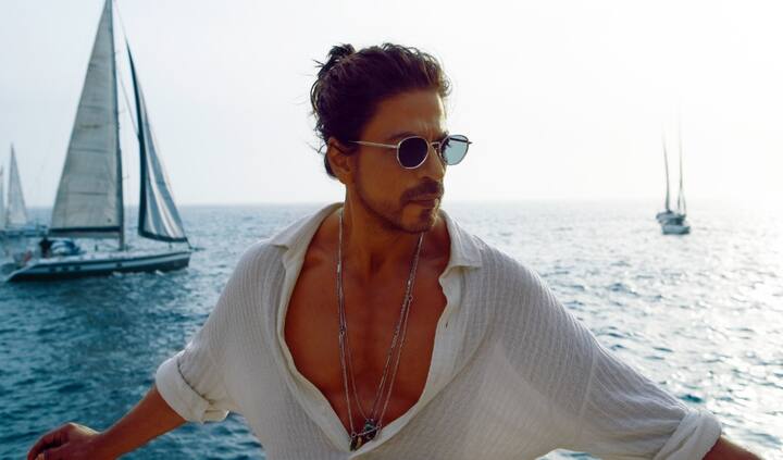 'पठान' में अपने एक्शन अवतार से शाहरुख खान छा गए थे. बॉलीवुड हंगामा की रिपोर्ट के मुताबिक, भारत में इस फिल्म ने 543. 05 करोड़ रुपये का बिजनेस किया था. वहीं, दुनियाभर में इसका कलेक्शन 1050 करोड़ रुपये हुआ था.