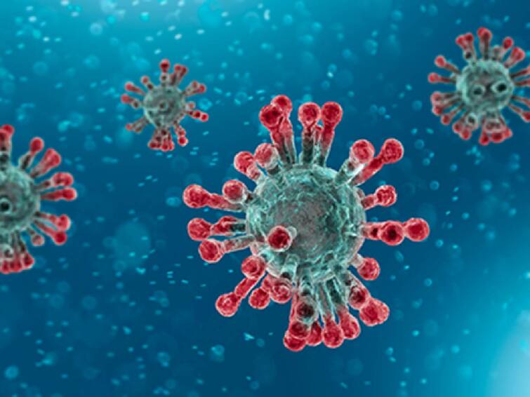 Kerala sees uplift in COVID-19 spread active cases in state Covid In Kerala: தொடர்ந்து அதிகரிக்கும் கொரோனா தொற்று.. கேரளாவில் நோய் தடுப்பு பணிகள் தீவிரம்.. தமிழ்நாட்டில் என்ன நிலை?