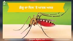 Dengue Effects On Heart: ਸਾਵਧਾਨ! ਡੇਂਗੂ ਤੋਂ ਸਿਰਫ ਲੀਵਰ ਹੀ ਨਹੀਂ ਸਗੋਂ ਦਿਲ ਨੂੰ ਵੀ ਖ਼ਤਰਾ, ਰਿਸਰਚ ਚ ਸਾਹਮਣੇ ਆਈ ਹੈਰਾਨ ਕਰਨ ਵਾਲੀ ਗੱਲ
