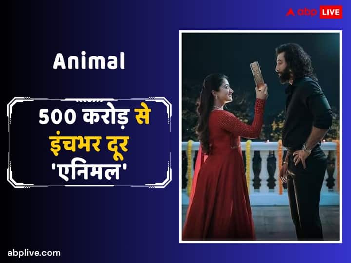 Animal Box Office Collection Day 14 Ranbir Kapoor Film earn 8 crores 75 lakh on Fourteenth Day Second Thursday Animal Box Office Collection Day 14: बॉक्स ऑफिस पर 14 दिन बाद भी दहाड़ रही है ‘एनिमल’, 500 करोड़ से अब रह गई इंचभर दूर, जानिए- कलेक्शन
