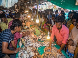 தஞ்சையில் தற்காலிக மீன் மார்க்கெட்டை இடமாற்றம் செய்ய பணிகள் மும்முரம்