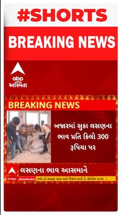 Gujarat : રાજ્યમાં ડુંગળીના ભાવ તળિયે તો લસણના ભાવ આસમાને