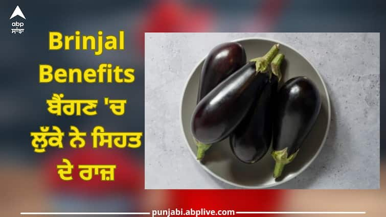 Brinjal Benefits: You will be surprised to know health secrets and benefits hidden in brinjal Brinjal Benefits: ਬੈਂਗਣ 'ਚ ਲੁੱਕੇ ਨੇ ਸਿਹਤ ਦੇ ਰਾਜ਼, ਫਾਇਦੇ ਜਾਣ ਕੇ ਹੋ ਜਾਉਂਗੇ ਹੈਰਾਨ