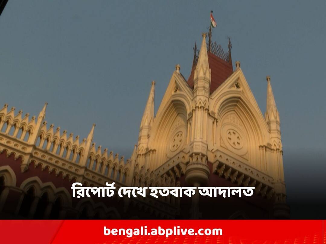 Calcutta High Court: 'বিপুল সম্পত্তির বেশিরভাগই ২০১৪ সালের পরে', প্রাথমিক নিয়োগ দুর্নীতির রিপোর্ট দেখে মন্তব্য আদালতের 'Most of the assets are post 2014', the court observed after seeing the initial recruitment scam report Calcutta High Court: 'বিপুল সম্পত্তির বেশিরভাগই ২০১৪ সালের পরে', প্রাথমিক নিয়োগ দুর্নীতির রিপোর্ট দেখে মন্তব্য আদালতের