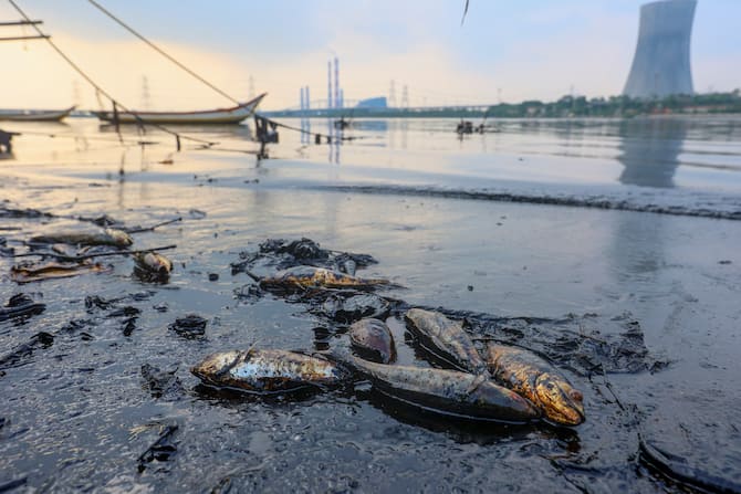 Ennore Creek Cyclone Michaung: Oil Spill Clean-Up — PICS