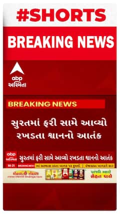 Surat News : ફરી એકવાર રખડતા શ્વાનનો આંતક