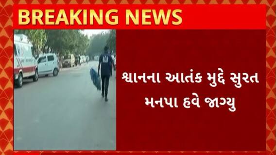 Surat News : રખડતા શ્વાનના આંતક મુદ્દે મનપા હવે જાગ્યું