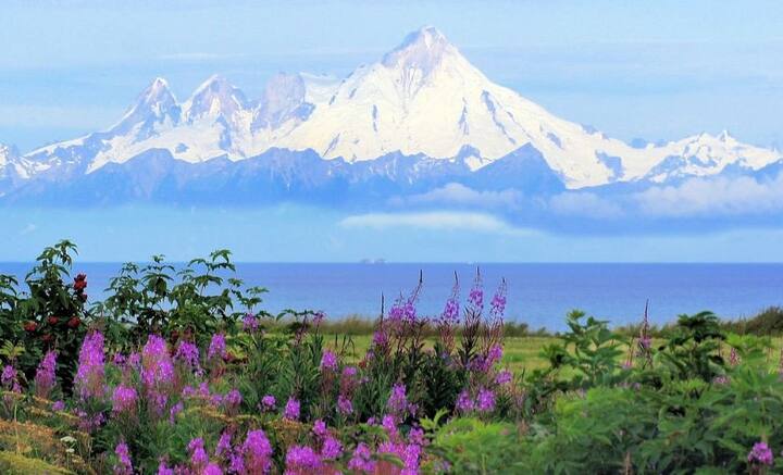 সেই ভুলের জন্য আজও হাত কামড়াতে হয় রাশিয়াকে। কারণ ওই একটুকরো জায়গা বর্তমানে আলস্কা নামে পরিচিত। আমেরিকার হাতে ওঠার পর দেখা যায়, সেখানে মাটির নীচে স্বর্ণখনি, প্রাকৃতিক গ্যাস এবং তেলের ভাণ্ডার রয়েছে, যার বাজারমূল্য  ২০ হাজার কোটি ডলার।