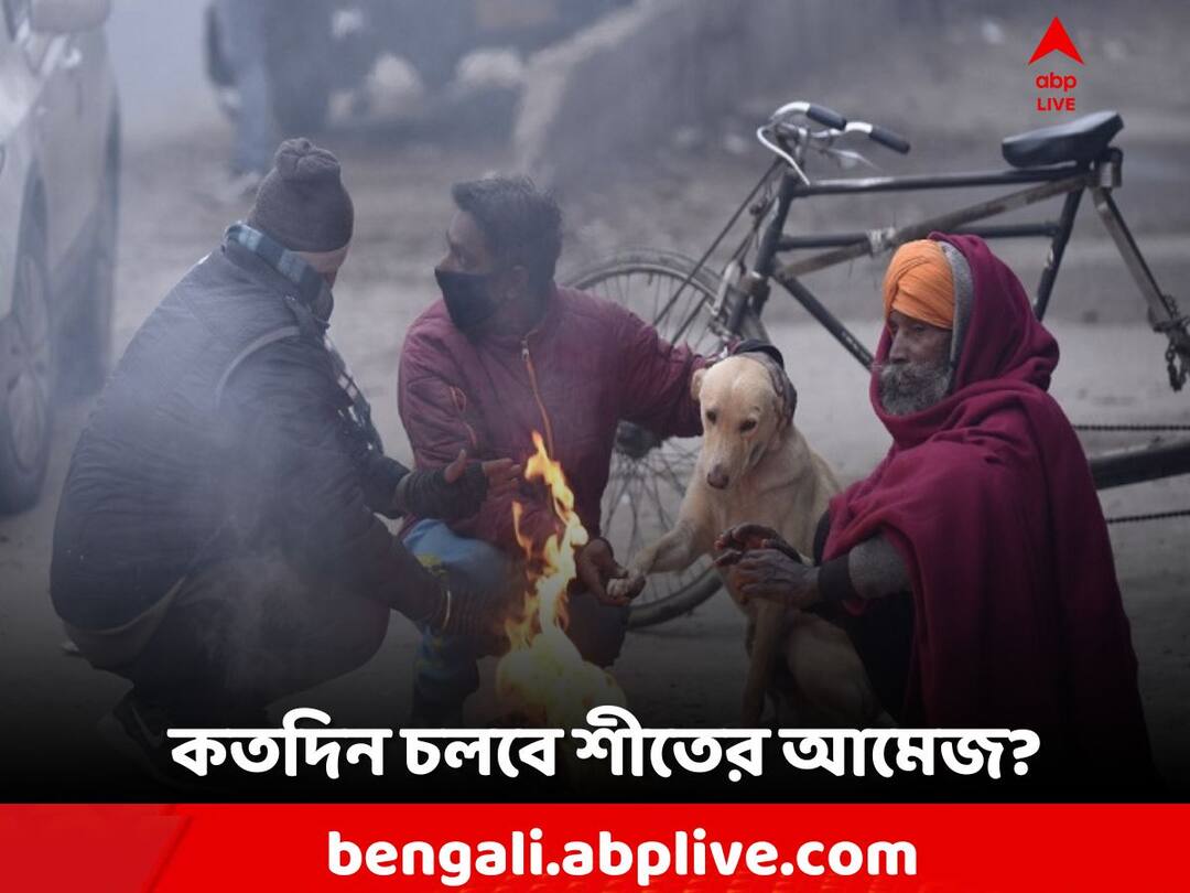 West Bengal Weather, WN Weather Update, Winter in Bengal and Kolkata, temperature will be same in this week Weather Update: আপাতত শীতের স্পেল! জেলা-কলকাতায় জাঁকিয়ে ঠান্ডা কতদিন চলবে?