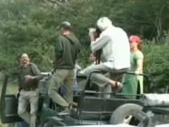 नए साल पर कार्बेट नेशनल पार्क घूमने का है प्लान, कम बजट में ऐसे कर सकेंगे सैर