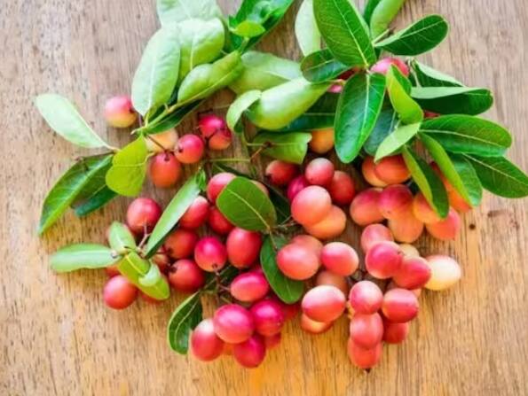 ਜੈਮ, ਜੈਲੀ, ਸਕੁਐਸ਼, ਸ਼ਰਬਤ, ਚਟਨੀ, ਅਚਾਰ ਆਦਿ ਕਰੈਨਬੇਰੀ ਤੋਂ ਬਣਾਏ ਜਾਂਦੇ ਹਨ।