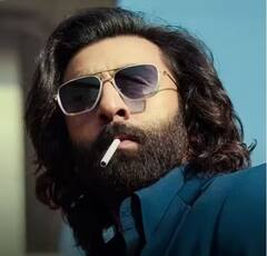 Animal Box Office Collection Day 14 Worldwide: रणबीर कपूर की 'एनिमल' ने दुनियाभर में मचा दिया तहलका, बॉक्स ऑफिस पर छाप डाले इतने करोड़