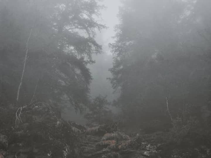 कोहरे का धुएं के साथ मिश्रण होने पर धुंध (Smog) का निर्माण होता है.