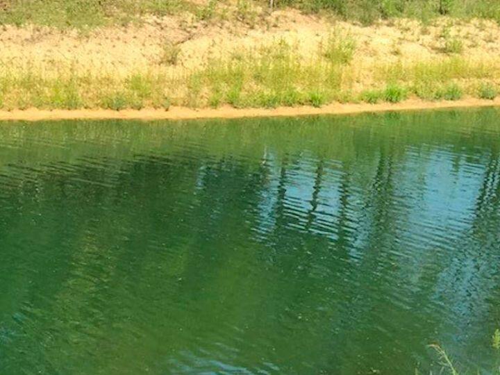 पानी में रंग दो तरीके से खुलता है एक उसमें वह पूरी तरह समाहित हो जाता है दूसरा वह उसमें रहता है और उसे बाहर निकाला जा सकता है. जैसे किसी नदी का पानी में वहां के पेड़ पौधों के बचे हुए हिस्सों के मिलने से उसका रंग बदल जाता है. लेकिन फ़िल्टर करने पर पानी पहले की तरह साफ़ हो जाता है. लेकिन चाय की पत्ती को पानी में घुलने के बाद अलग नहीं किया जा सकता.