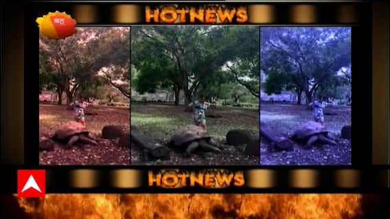 Hina Khan enjoys holidays in Mauritius, shares every glimpse of the trip | Hot News