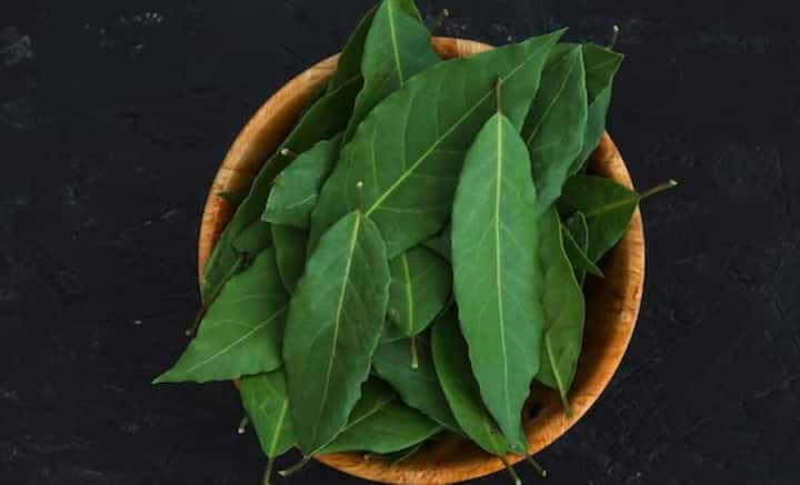 Curry Leaves Benefits: খালিপেটে কারিপাতা চিবিয়ে খেয়ে দেখুন, ফল পাবেন হাতেনাতে।