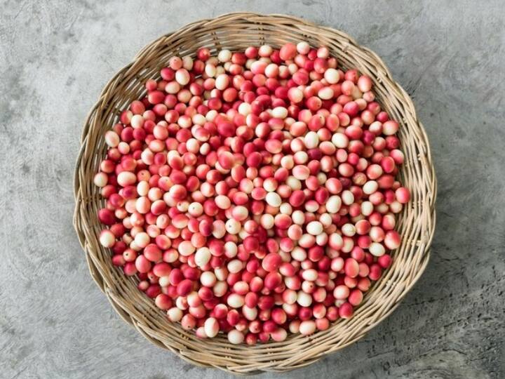 इंडियन काउंसिल ऑफ एग्रीकल्चर रिसर्च के मुताबिक करौंदा में प्रचूर मात्रा में आयरन, विटामिन सी और विटामिन बी पाया जाता है.