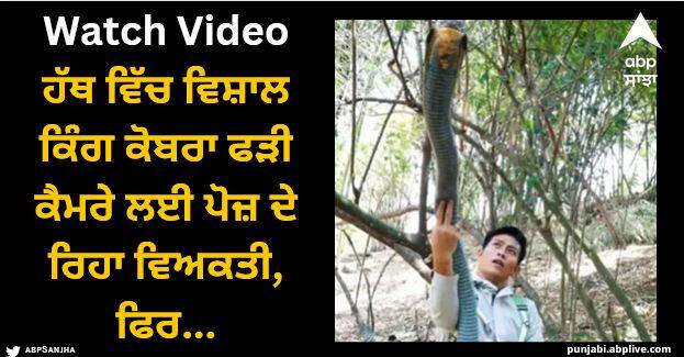 man poses with massive king cobra holding in hand watch viral video Viral Video: ਹੱਥ ਵਿੱਚ ਵਿਸ਼ਾਲ ਕਿੰਗ ਕੋਬਰਾ ਫੜੀ ਕੈਮਰੇ ਲਈ ਪੋਜ਼ ਦੇ ਰਿਹਾ ਵਿਅਕਤੀ, ਫਿਰ...