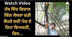 Viral Video: ਹੱਥ ਵਿੱਚ ਵਿਸ਼ਾਲ ਕਿੰਗ ਕੋਬਰਾ ਫੜੀ ਕੈਮਰੇ ਲਈ ਪੋਜ਼ ਦੇ ਰਿਹਾ ਵਿਅਕਤੀ, ਫਿਰ...