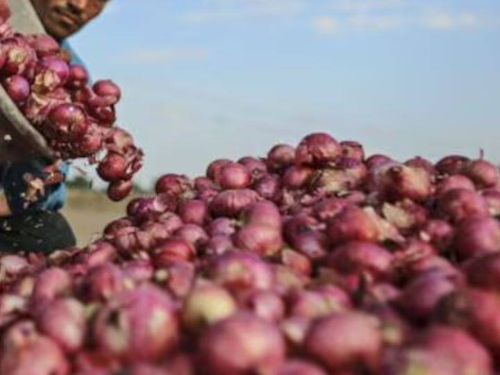 सर्दियों के मौसम में प्याज के भाव में बदलाव आते हैं. लेकिन फ़िलहाल प्याज के दामों में बढ़ोतरी नहीं आई है. पिछले एक हफ्ते से प्याज के दाम नहीं बढ़ें हैं. लेकिन नवम्बर के महीने में प्याज के दाम थोड़े ज़्यादा थे. अनुमान है कि प्याज के भाव थोड़े बढ़ सकते हैं.