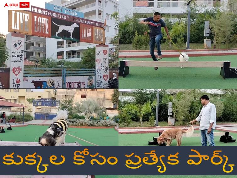 special park to dogs in warangal Warangal News: కుక్కల కోసం ప్రత్యేక పార్క్ - సకల సదుపాయాలతో డాగ్స్ కు ఆహ్లాదం, ఎక్కడంటే.?