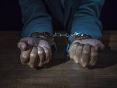 हरियाणा में कबूतरबाजों पर SIT का शिकंजा, अब तक 662 गिरफ्तार, 30 के खिलाफ लुक आउट नोटिस जारी