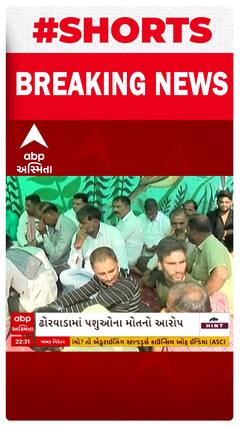 Ahmedabad | ઢોરવાડામાં પશુઓના મોતને લઈને માલધારીઓએ એવો કર્યો વિરોધ કે પછી...