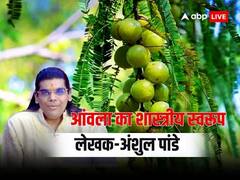 आंवला को क्यों देते हैं अमृत का दर्जा ? जानिए आंवला का शास्त्रीय स्वरूप