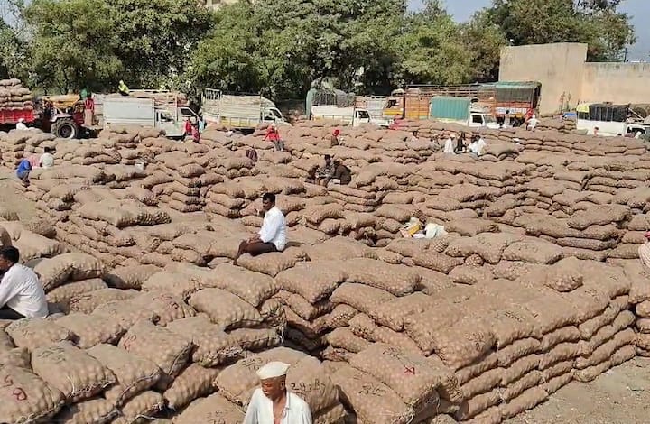 सोलापूरच्या कृषी उत्पन्न बाजार समितीमध्ये (Agricultural Produce Market Committee of Solapur) पुन्हा एकदा मोठ्या प्रमाणात कांद्याची आवक झाली आहे. सुमारे 1200 ते 1500 गाडी कांद्याची आवक झाली आहे.