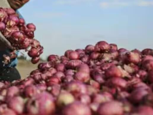 Vegetable Price: ਜਿਵੇਂ-ਜਿਵੇਂ ਮੌਸਮ ਬਦਲਦਾ ਹੈ, ਬਾਜ਼ਾਰ ਦੇ ਭਾਅ ਵੀ ਬਦਲ ਜਾਂਦੇ ਹਨ। ਦੇਸ਼ ਦੀਆਂ ਸਬਜ਼ੀ ਮੰਡੀਆਂ ਵਿੱਚ ਸਭ ਤੋਂ ਵੱਧ ਆਲੂ ਅਤੇ ਪਿਆਜ਼ ਵਿਕਦੇ ਹਨ ਤਾਂ ਕੀ ਕਹਿ ਰਹੇ ਹਨ ਮੰਡੀਆਂ ਦੇ ਭਾਅ, ਰਾਹਤ ਮਿਲੇਗੀ ਜਾਂ ਖਰਚੇ ਵਧਣਗੇ?