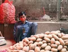 Vegetable Price: ਹੁਣ ਆਲੂ ਅਤੇ ਪਿਆਜ਼ ਮਹਿੰਗੇ ਹੋਣਗੇ ਜਾਂ ਸਸਤੇ? ਇਦਾਂ ਦੇ ਹੋ ਸਕਦੇ ਮੰਡੀਆਂ ਦੇ ਭਾਅ