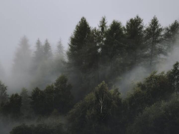 तकनीकी तौर पर कोहरे और धुंध में बस विजिबिलिटी यानी दृश्‍यता का फर्क होता है. यदि दृश्‍यता की सीमा एक किमी या इससे कम हो तो उसे कुहासा या धुंध कहते हैं.