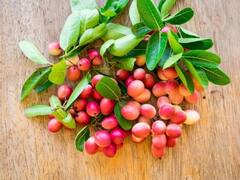 कई रोगों से बचाने में कारगर है ये फल , सेहत के लिए अमृत