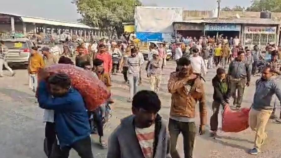 A farmer of Dhoraji buried himself in a pile of onions in the field