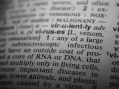 આ છે 2023માં આ સૌથી વધુ ઉપયોગમાં લેવાયેલ શબ્દ, જાણો કેવી રીતે નક્કી થાય છે